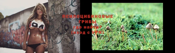 mdma Горняк