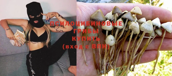 не бодяженный Горнозаводск